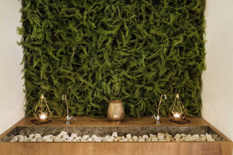 The Benefits of Moss Walls: Calm, Air Quality, and Acoustics
