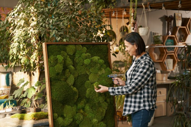 Choosing the Perfect Moss Wall for Your Space